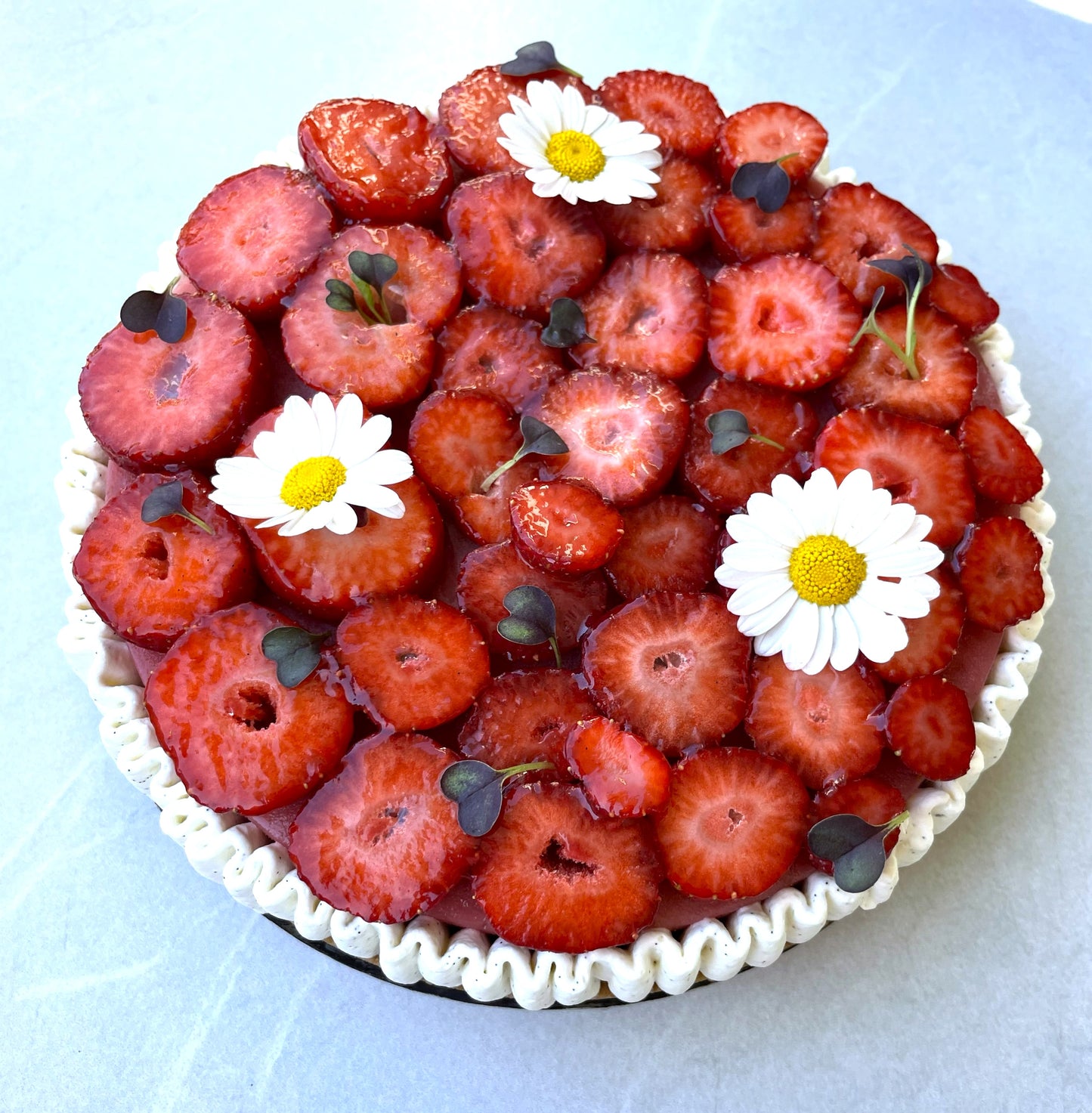 La Rhubarbe en Fraise