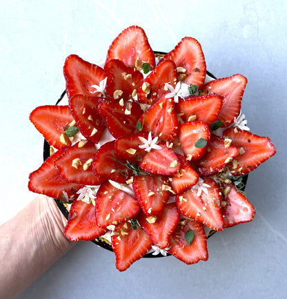 La Tarte Oh my Fraise !